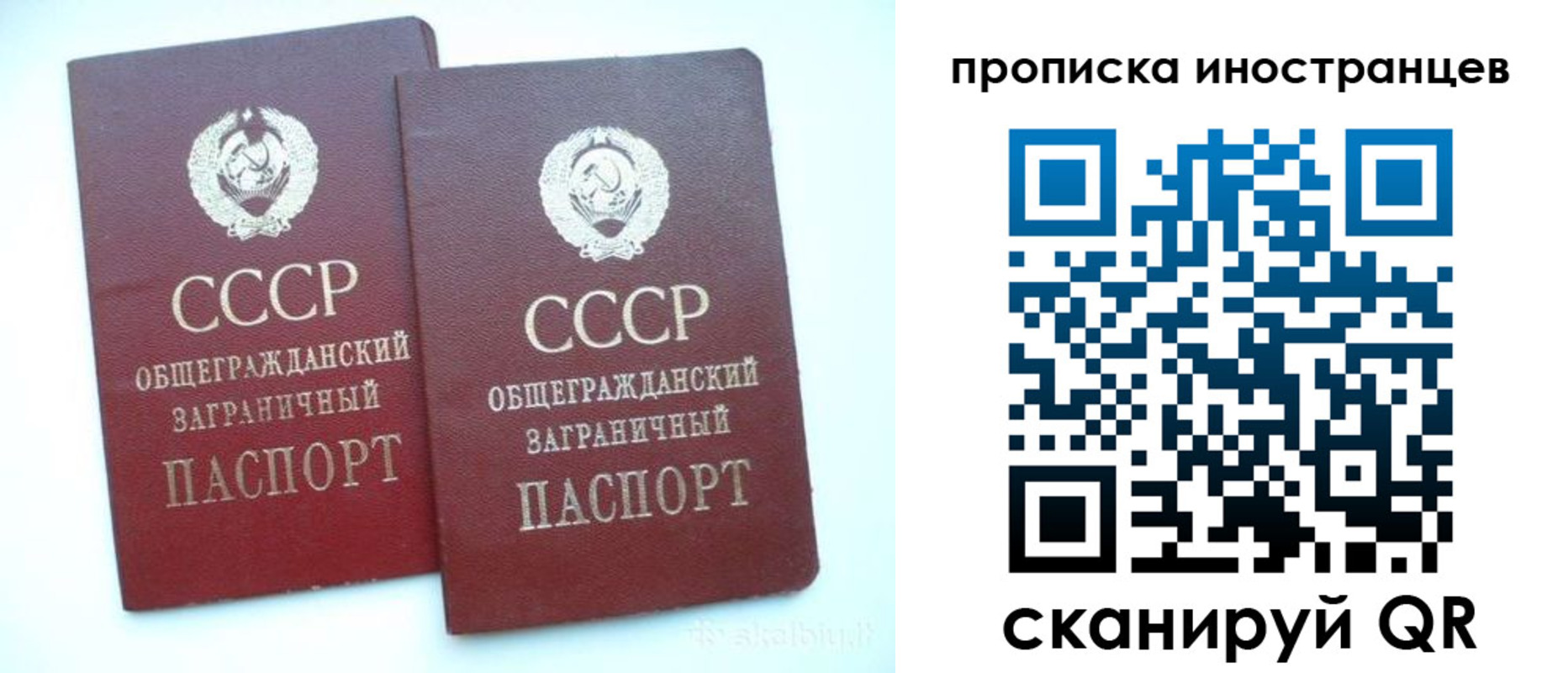 временная регистрация госуслуги в Камчатском крае